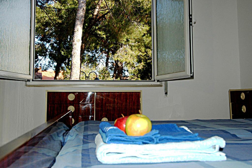 Faber Apartments Novigrad  ห้อง รูปภาพ